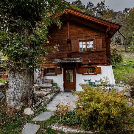 Chalet Les Rindes Nendaz Dış mekan fotoğraf