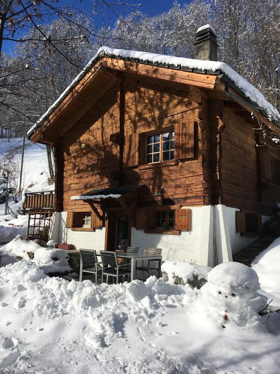 Chalet Les Rindes Nendaz Dış mekan fotoğraf